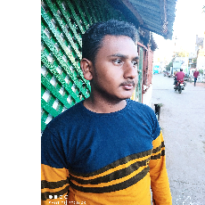 Hussenmeer Chand Basha-Freelancer in Ichapuram,India