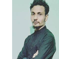 Arsalan Malik-Freelancer in Bhopal,India