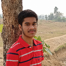 Sayan Mukherjee-Freelancer in Kolkata,India