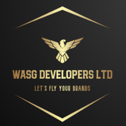 WASG Developers Pvt Ltd-Freelancer in Multan,Pakistan