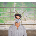 Damodar Panigarahi-Freelancer in Berhampur,India
