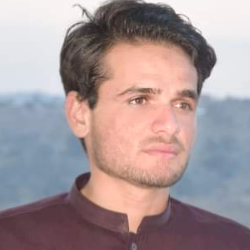 Muhammad Zeeshan Ullah-Freelancer in Dera ismail khan,Pakistan