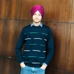 Manraj Singh-Freelancer in Ludhiana,India