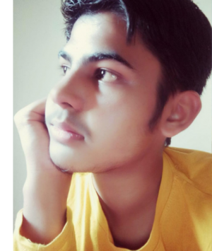 Lokesh Singh Bisht-Freelancer in New Delhi,India