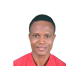 Emmanuel Adeyemi-Freelancer in Lagos,Nigeria