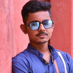 Pritam Biswas-Freelancer in Krishnanagar,India
