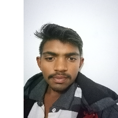 Shyam haridas Dhamankar-Freelancer in Amravati,India