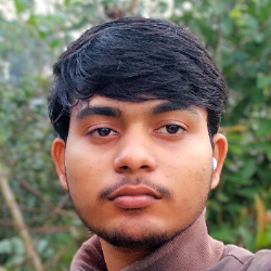 Raktim Biswas-Freelancer in Ranaghat,India