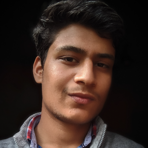 Harshit Raj Sharma-Freelancer in Jammu,India