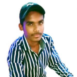 Rajesh Kumar-Freelancer in Patna,India