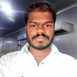 Boris-Freelancer in Madurai,India