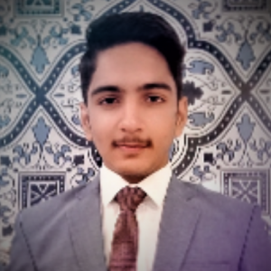 Zeeshan Abbasi-Freelancer in Islamabad,Pakistan