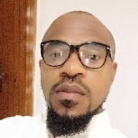Prince Anozie-Freelancer in Abuja Municipal Area Council,Nigeria