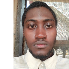 Moses Nzo-Freelancer in Calabar,Nigeria