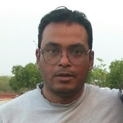 Dhiraj Sinha-Freelancer in New Delhi,India