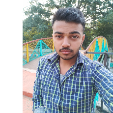 Prakhar Mishra-Freelancer in Lucknow,India