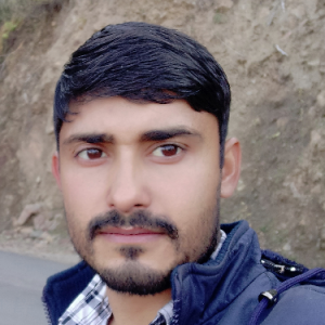 Kulbir Singh-Freelancer in BHADERWAH,India