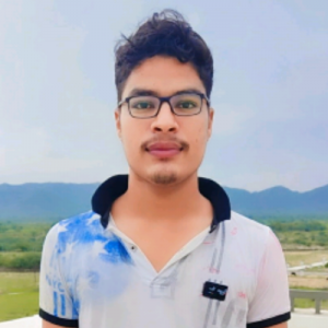Narendra Choudhary-Freelancer in Ajmer,India