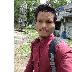 Surendra Chakravarti-Freelancer in Panna mp,India