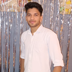 Ashish Solanki-Freelancer in Panipat,India