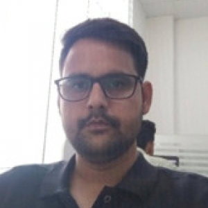 Ashok Kumar-Freelancer in Chandigarh,India