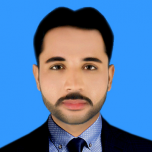 Muhammad Touqeer Abbas-Freelancer in Muzaffargarh,Pakistan