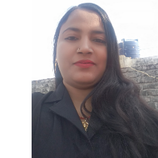 Shabeena Parveen-Freelancer in Sitapur,India