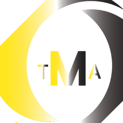 Talha Mehmood Ali-Freelancer in Karachi,Pakistan