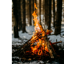 Shivansh-Freelancer in Jbp,India