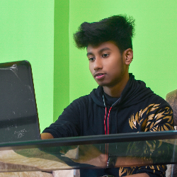 Subhadip Majumder-Freelancer in Raiganj,India