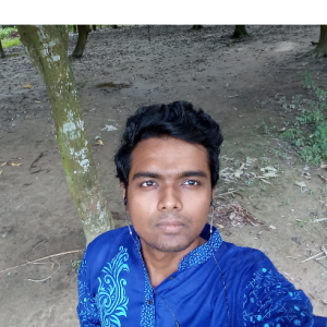 Tanvir Hossain-Freelancer in Naogaon,Bangladesh