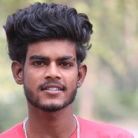 Rowdy Ritesh-Freelancer in Durg,India
