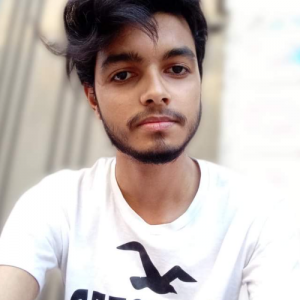 Malik Hanan-Freelancer in Lahore,Pakistan