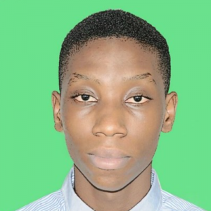 Ishmael Bright Owusu Jnr-Freelancer in Accra,Ghana