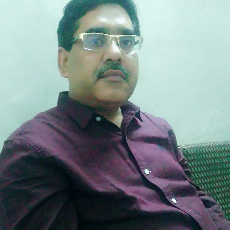 Mohammad Aleem-Freelancer in NEW DELHI,India