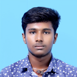 Naveen Kumar-Freelancer in Chennai,India
