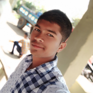 Pranay Sathawane-Freelancer in Nagpur,India