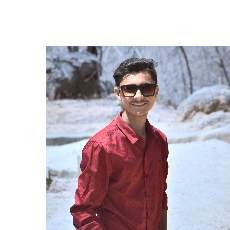 Hitesh Chaudhary-Freelancer in Gujarat India,India
