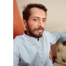 Malik Kashan-Freelancer in Multan,Pakistan