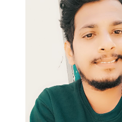 Bumandla Ramesh-Freelancer in Hyderabad,India