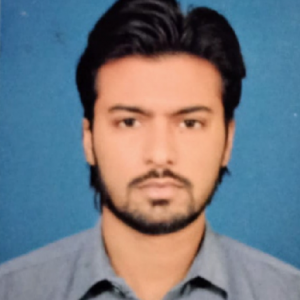 Syed Asad Mehdi-Freelancer in DELHI,India