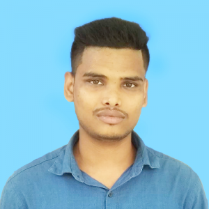 Md. Amir Sarkar Ashik-Freelancer in Lalmonirhat,Bangladesh