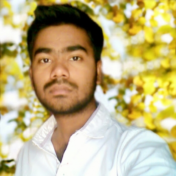 Dinesh Pallapa-Freelancer in Madanapalle,India