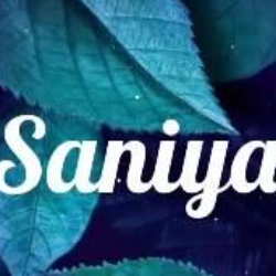 Saniya Rizvi-Freelancer in Indore,India