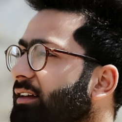 Suhail Mushtaq Wani-Freelancer in India,India