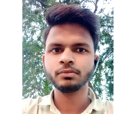 Manish Maurya-Freelancer in Siddhartha Nagar,India