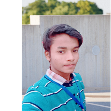 Md Zafar-Freelancer in bihta, patna,India