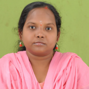B N Bharathi-Freelancer in ANANTAPUR,India
