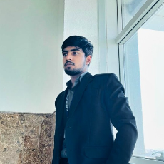 Vinay kumar-Freelancer in Jaipur,India