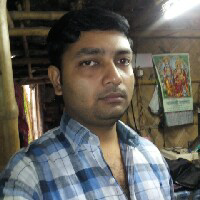 Manoj Biswas-Freelancer in ,India